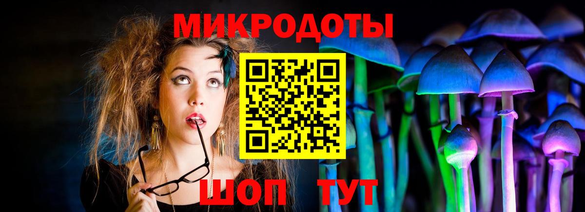 Галлюциногенные грибы Cubensis  Галлюциногенные грибы прущие грибы  Рубцовск  Вход с VPN 